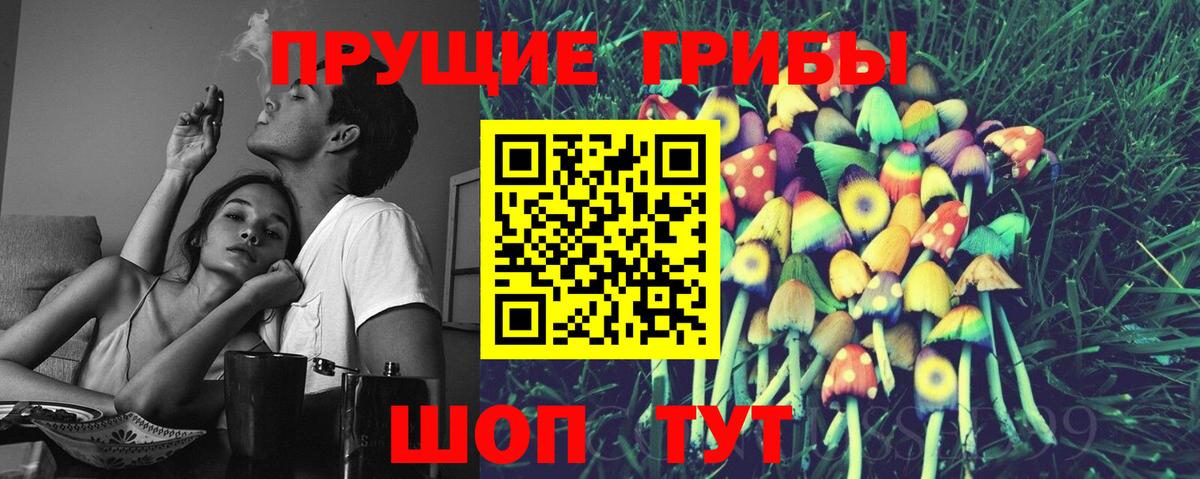 Кингисепп  Галлюциногенные грибы Psilocybine cubensis  Псилоцибиновые грибы Psilocybe  Вход с VPN 